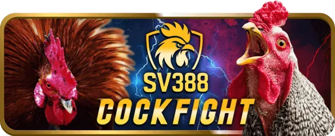 Biểu tượng hỗ trợ qua email 89bet500